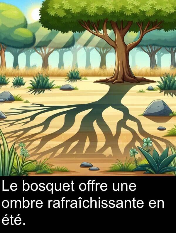 offre: Le bosquet offre une ombre rafraîchissante en été.