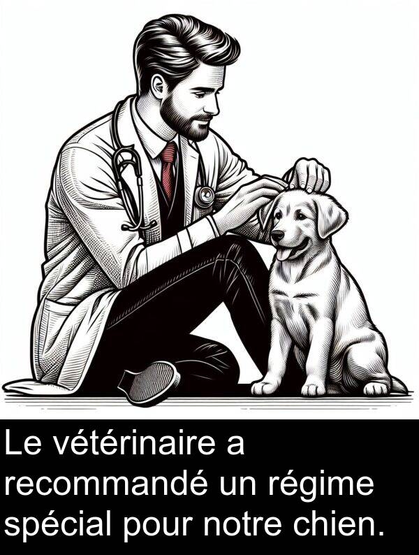 recommandé: Le vétérinaire a recommandé un régime spécial pour notre chien.