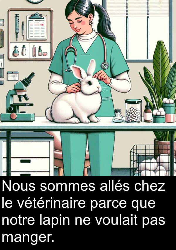 allés: Nous sommes allés chez le vétérinaire parce que notre lapin ne voulait pas manger.