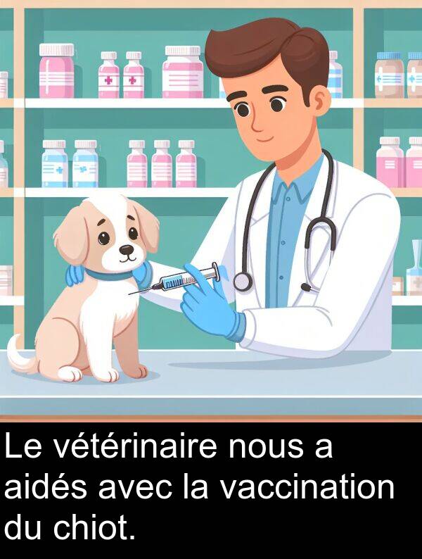 vaccination: Le vétérinaire nous a aidés avec la vaccination du chiot.