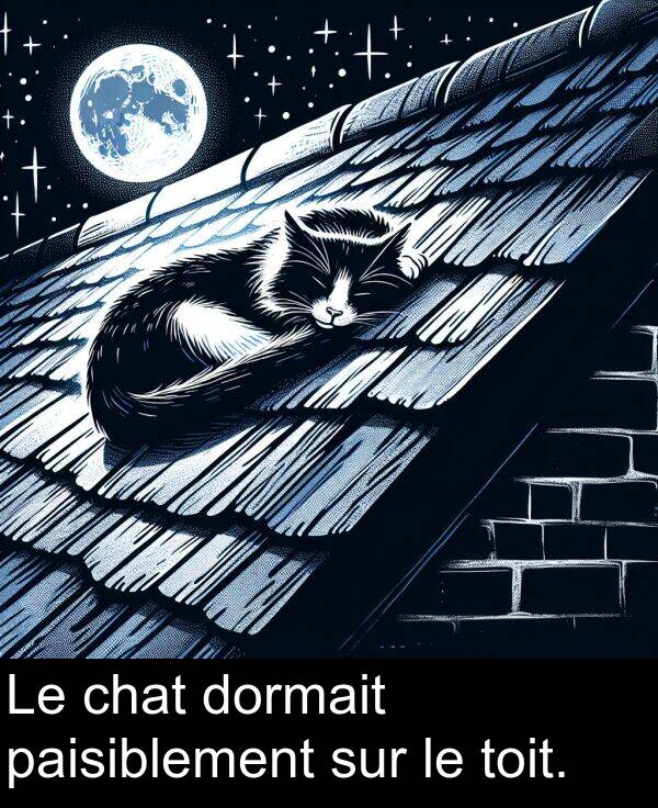 sur: Le chat dormait paisiblement sur le toit.