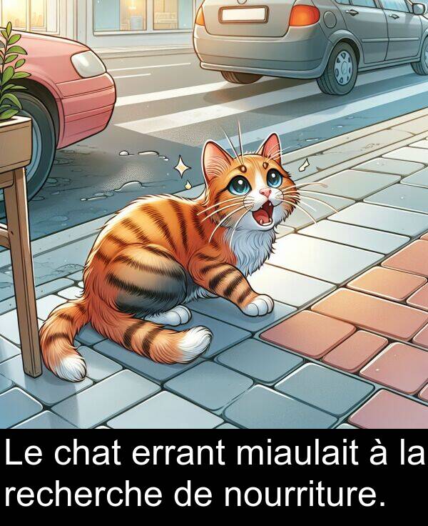 recherche: Le chat errant miaulait à la recherche de nourriture.