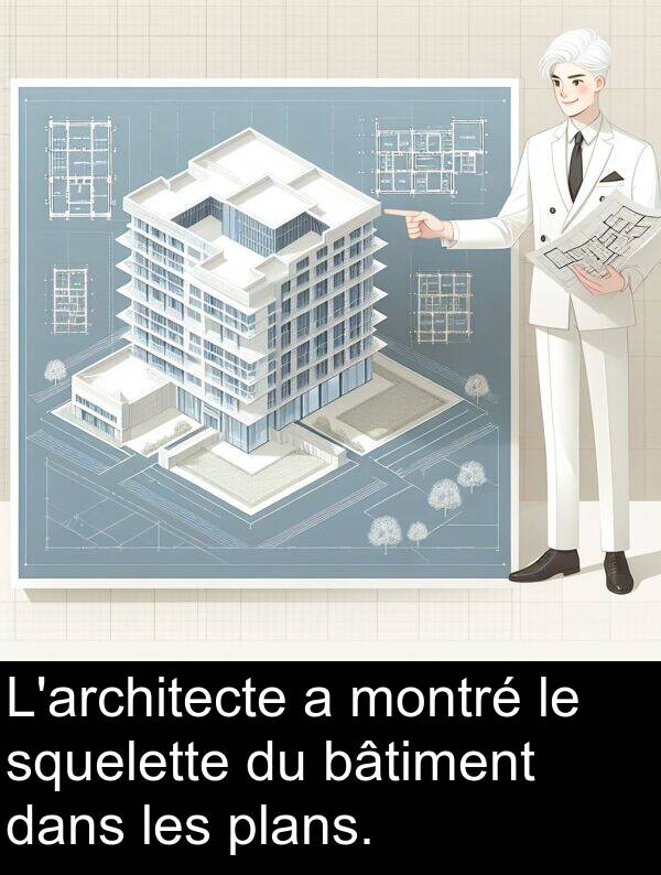 squelette: L'architecte a montré le squelette du bâtiment dans les plans.