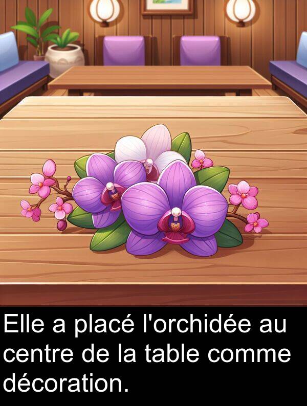 table: Elle a placé l'orchidée au centre de la table comme décoration.