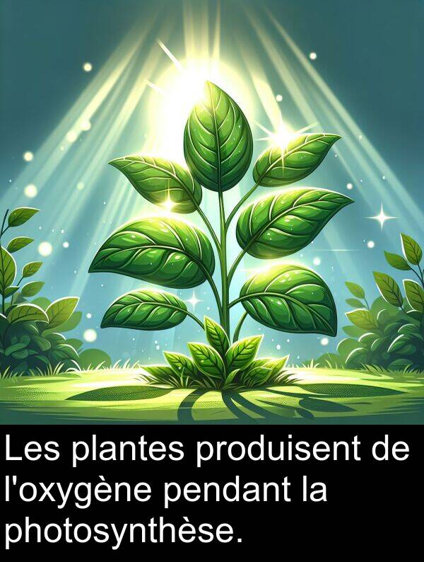 pendant: Les plantes produisent de l'oxygène pendant la photosynthèse.