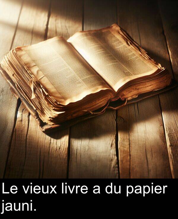 papier: Le vieux livre a du papier jauni.