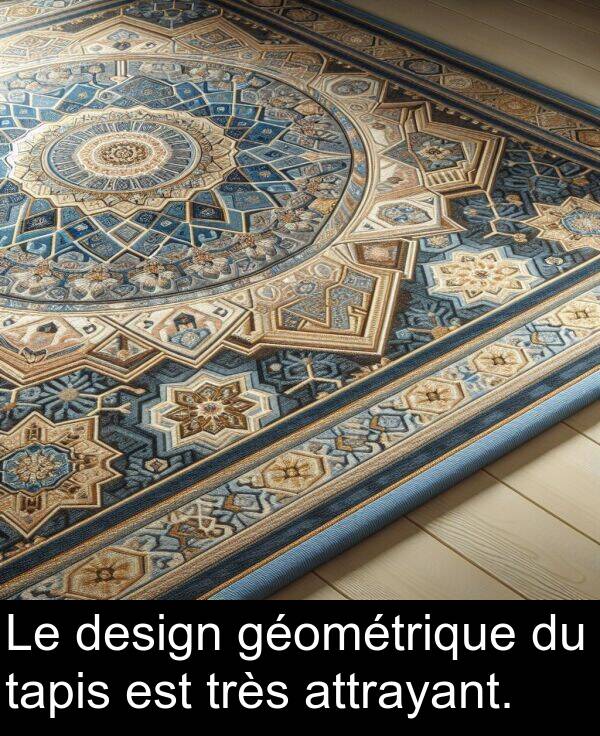 tapis: Le design géométrique du tapis est très attrayant.