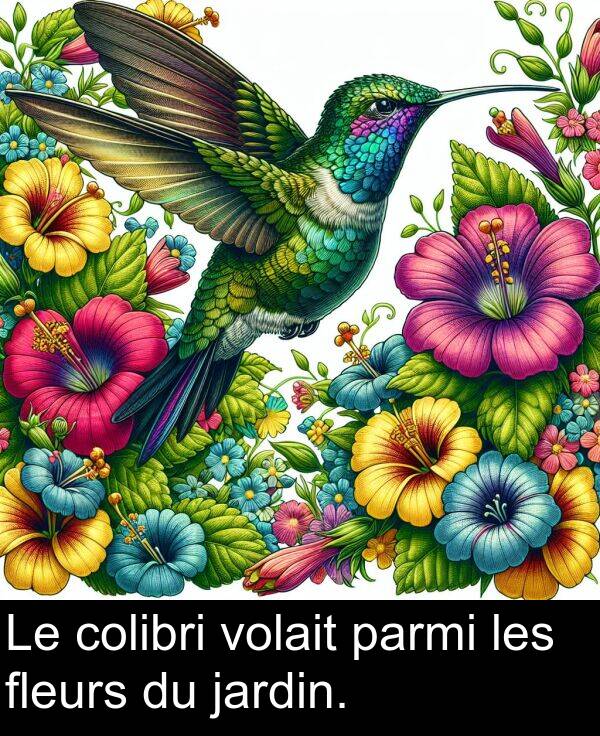 fleurs: Le colibri volait parmi les fleurs du jardin.