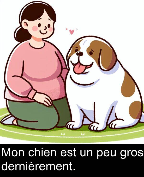 peu: Mon chien est un peu gros dernièrement.