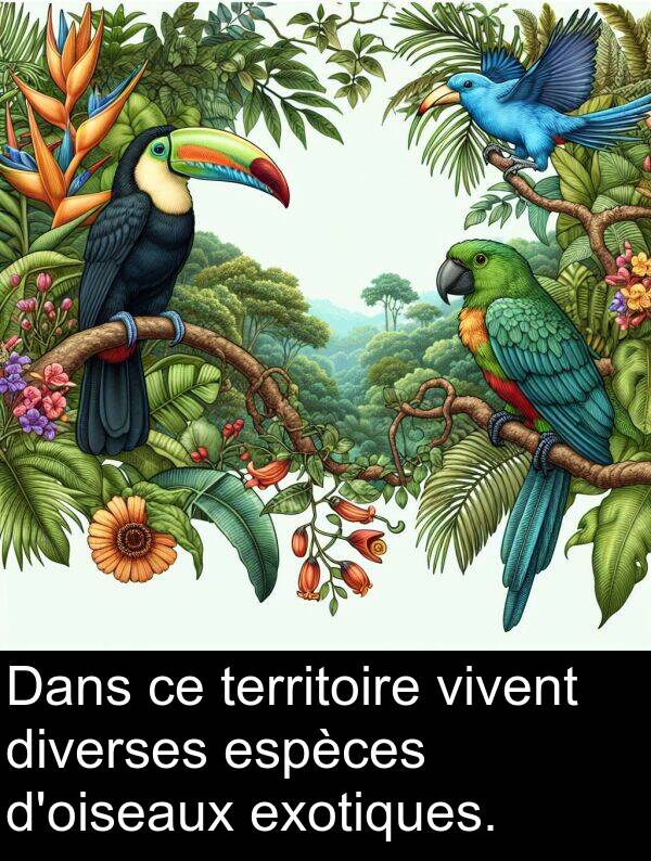 territoire: Dans ce territoire vivent diverses espèces d'oiseaux exotiques.