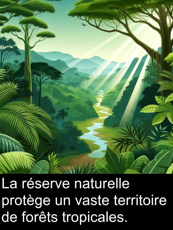 vaste: La réserve naturelle protège un vaste territoire de forêts tropicales.