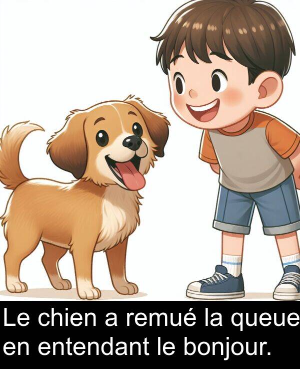 queue: Le chien a remué la queue en entendant le bonjour.