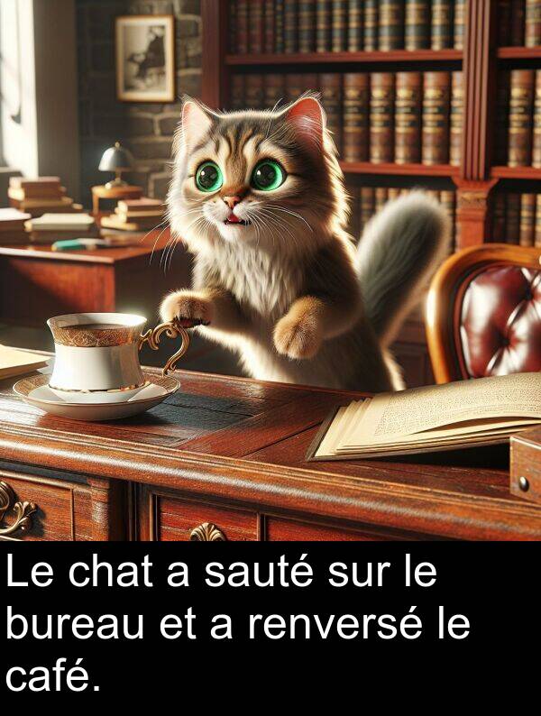 sauté: Le chat a sauté sur le bureau et a renversé le café.