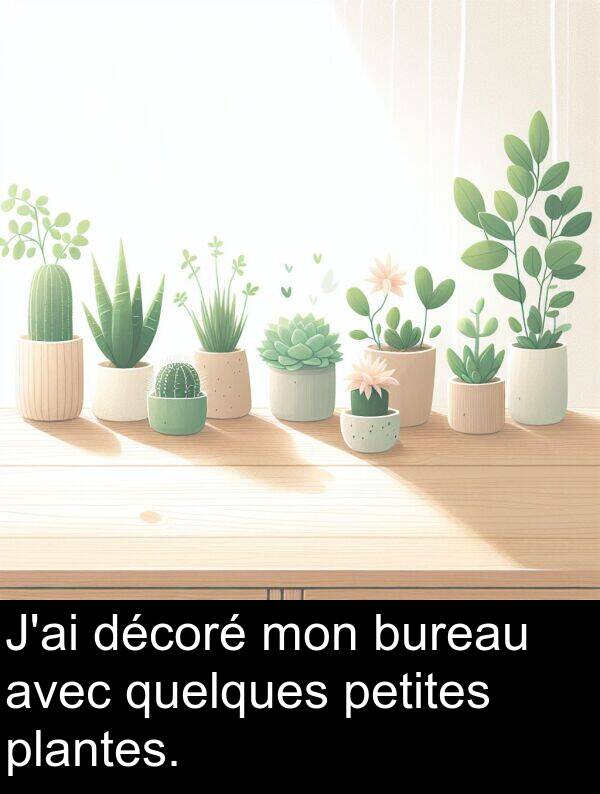 quelques: J'ai décoré mon bureau avec quelques petites plantes.