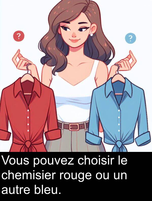 bleu: Vous pouvez choisir le chemisier rouge ou un autre bleu.