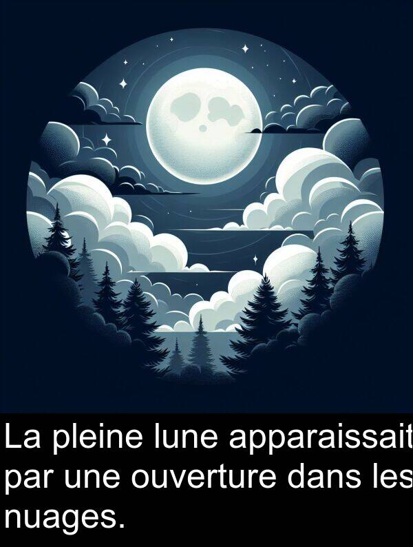 ouverture: La pleine lune apparaissait par une ouverture dans les nuages.