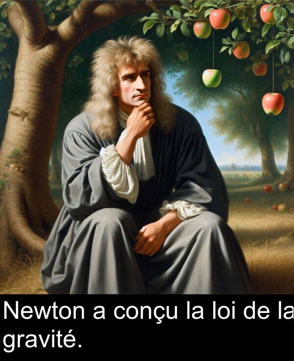 gravité: Newton a conçu la loi de la gravité.