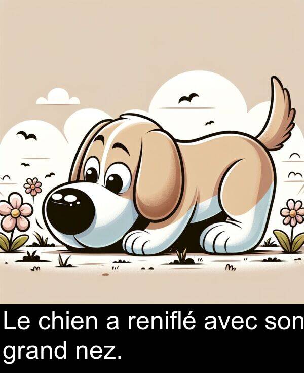 grand: Le chien a reniflé avec son grand nez.