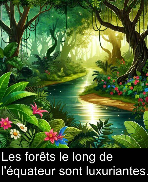 forêts: Les forêts le long de l'équateur sont luxuriantes.