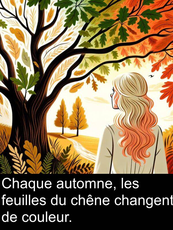 feuilles: Chaque automne, les feuilles du chêne changent de couleur.