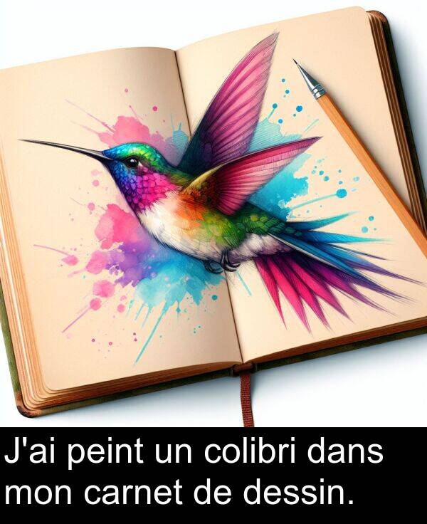 mon: J'ai peint un colibri dans mon carnet de dessin.