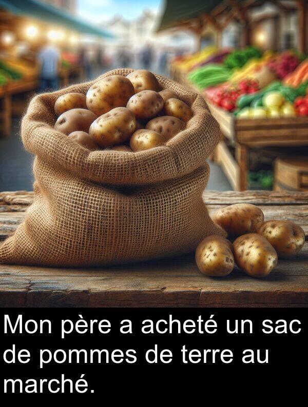 acheté: Mon père a acheté un sac de pommes de terre au marché.