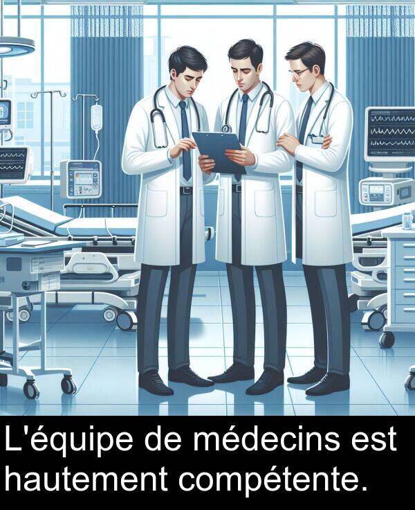 hautement: L'équipe de médecins est hautement compétente.