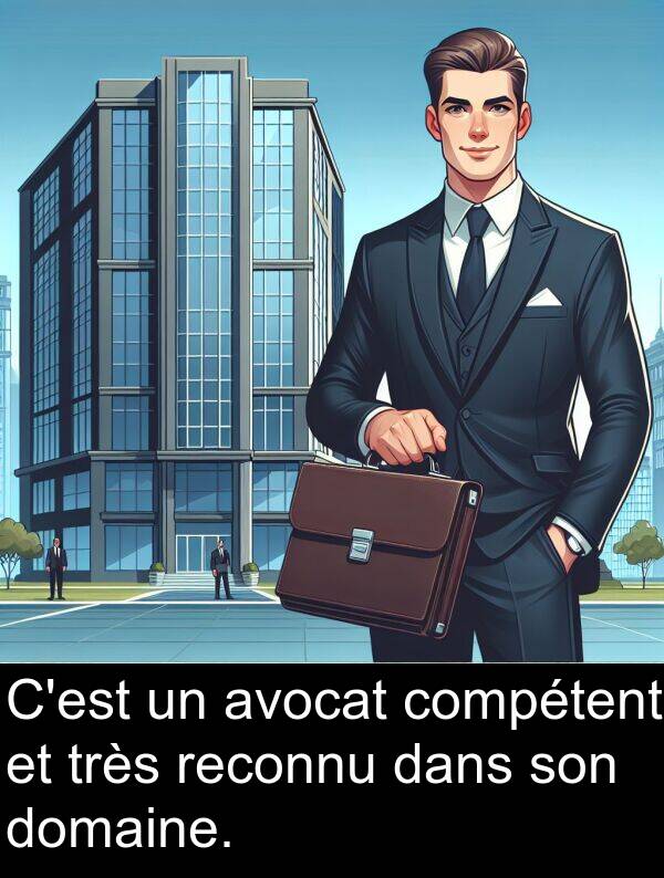 avocat: C'est un avocat compétent et très reconnu dans son domaine.