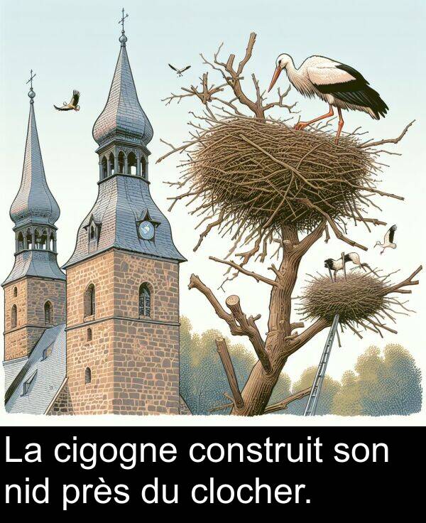 son: La cigogne construit son nid près du clocher.