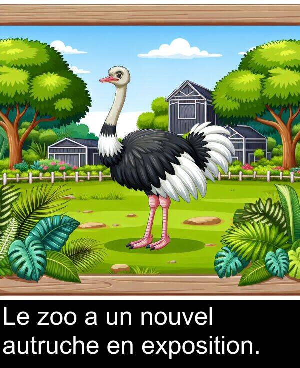 zoo: Le zoo a un nouvel autruche en exposition.