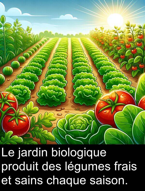 saison: Le jardin biologique produit des légumes frais et sains chaque saison.