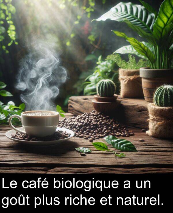 goût: Le café biologique a un goût plus riche et naturel.