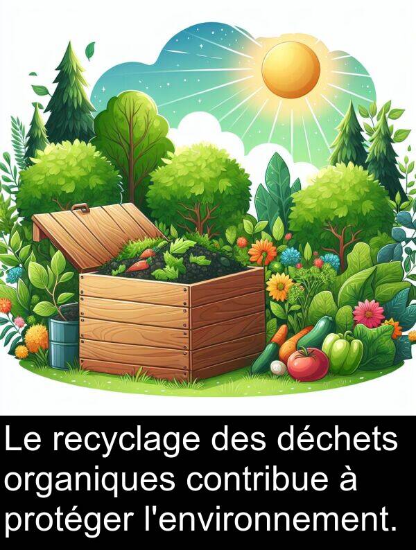 organiques: Le recyclage des déchets organiques contribue à protéger l'environnement.