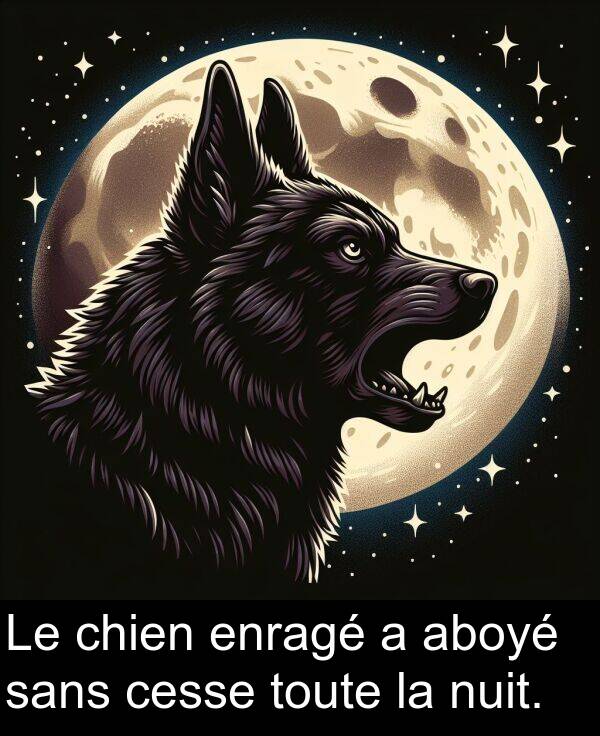 aboyé: Le chien enragé a aboyé sans cesse toute la nuit.