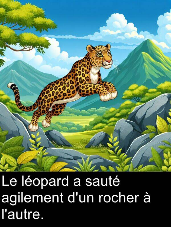 sauté: Le léopard a sauté agilement d'un rocher à l'autre.