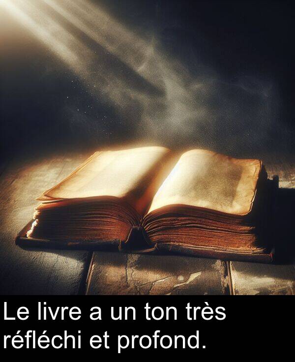 livre: Le livre a un ton très réfléchi et profond.