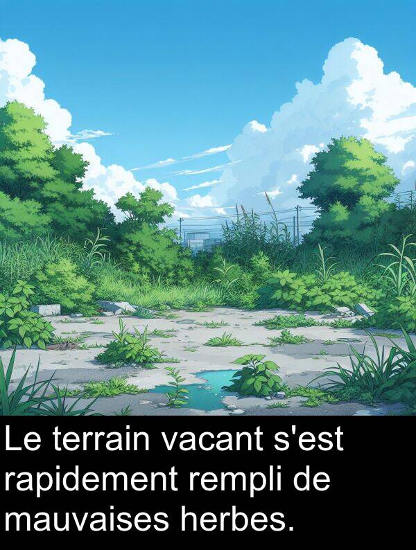 vacant: Le terrain vacant s'est rapidement rempli de mauvaises herbes.