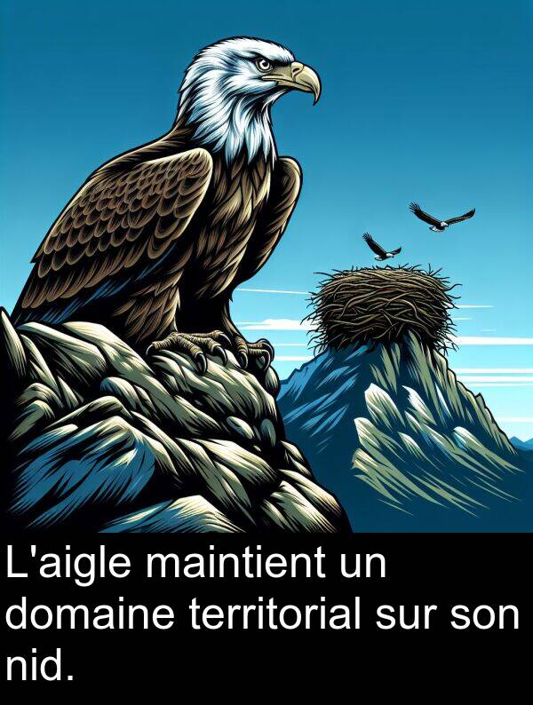 maintient: L'aigle maintient un domaine territorial sur son nid.