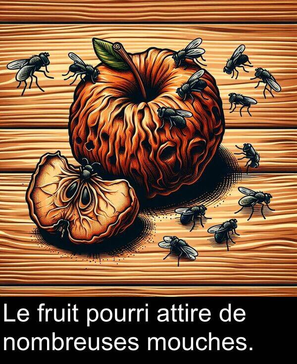 attire: Le fruit pourri attire de nombreuses mouches.