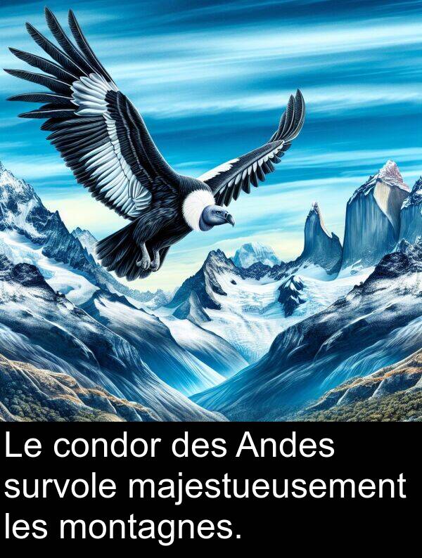 montagnes: Le condor des Andes survole majestueusement les montagnes.