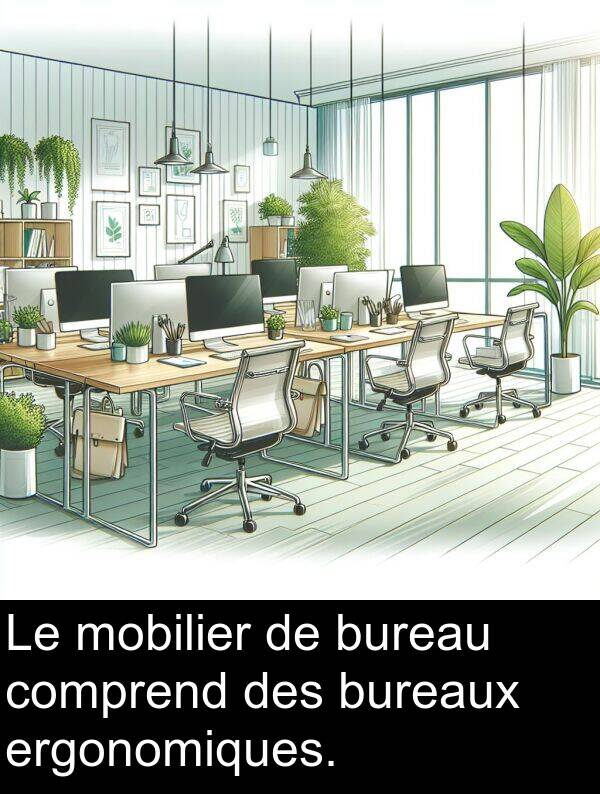 mobilier: Le mobilier de bureau comprend des bureaux ergonomiques.