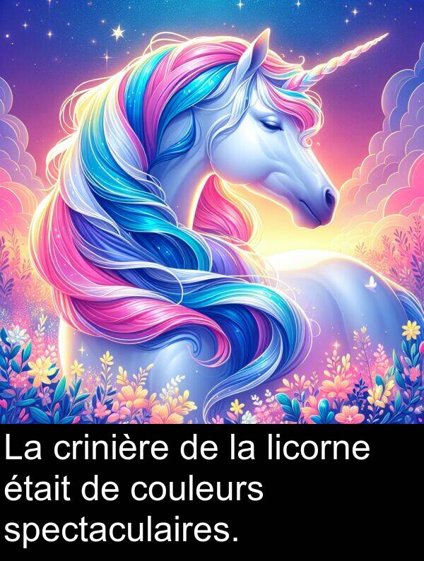 spectaculaires: La crinière de la licorne était de couleurs spectaculaires.