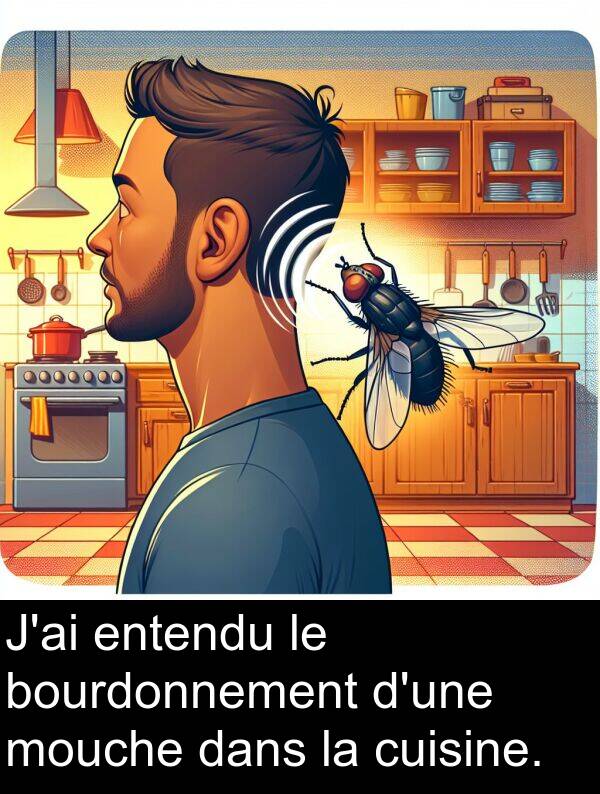 mouche: J'ai entendu le bourdonnement d'une mouche dans la cuisine.