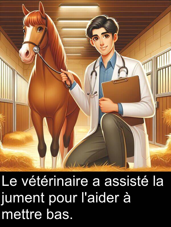 assisté: Le vétérinaire a assisté la jument pour l'aider à mettre bas.