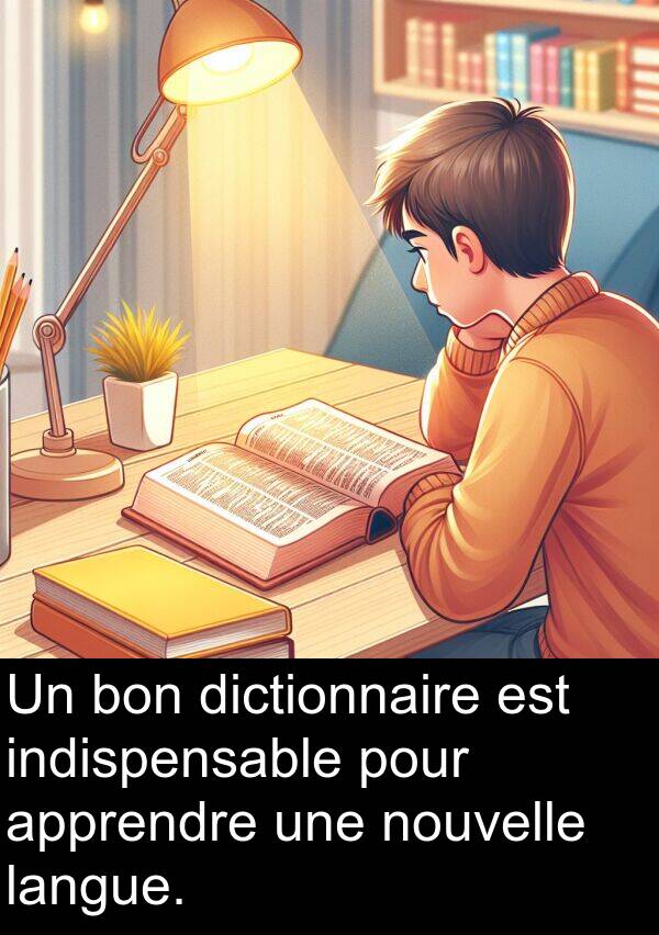 bon: Un bon dictionnaire est indispensable pour apprendre une nouvelle langue.