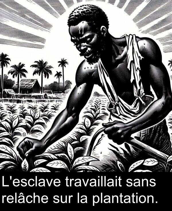 sans: L'esclave travaillait sans relâche sur la plantation.