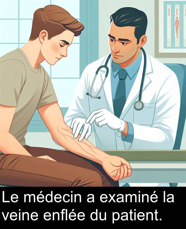 veine: Le médecin a examiné la veine enflée du patient.