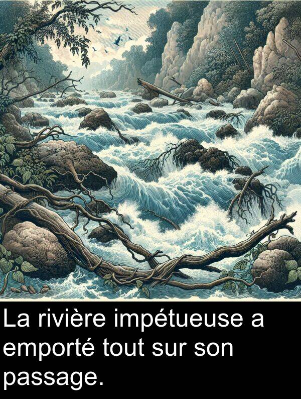 rivière: La rivière impétueuse a emporté tout sur son passage.