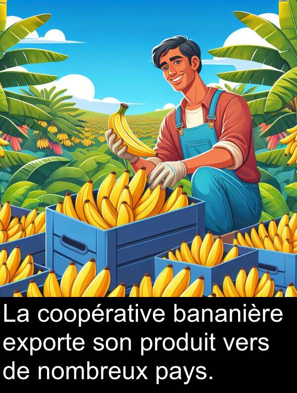 vers: La coopérative bananière exporte son produit vers de nombreux pays.