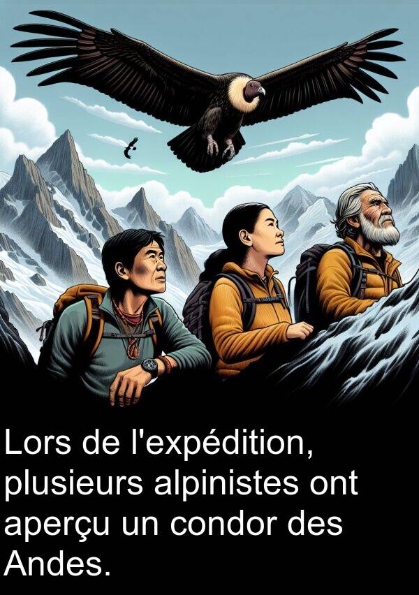 alpinistes: Lors de l'expédition, plusieurs alpinistes ont aperçu un condor des Andes.